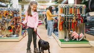 Read more about the article Best Pet Stores in the US for Your Pet Supplies in 2024