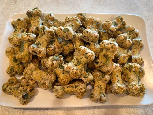 Read more about the article Salmon and Spinach: A Healthy Homemade Dog Food Choice for Your Pet