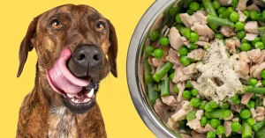 Read more about the article Chicken and Peas: Amazing Homemade Dog Food