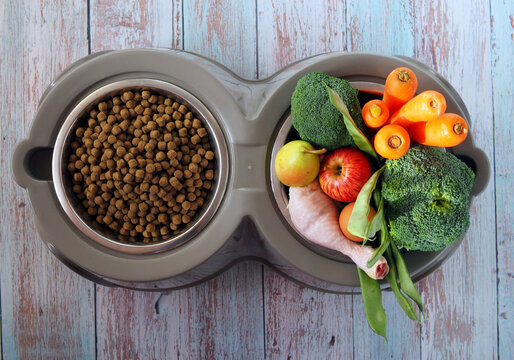 Read more about the article Homemade Dog Food vs. Store-Bought: Which Provides Better Nutrition?